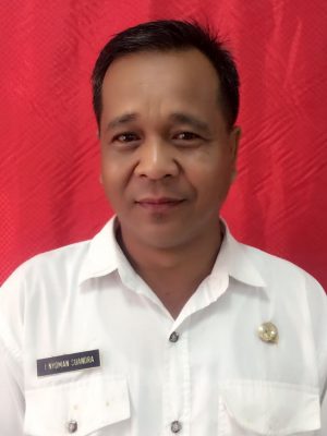 I Nyoman Suandra I Nyoman Suandra