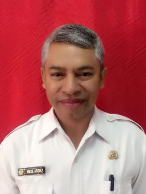 I Gede Ardika I Gede Ardika