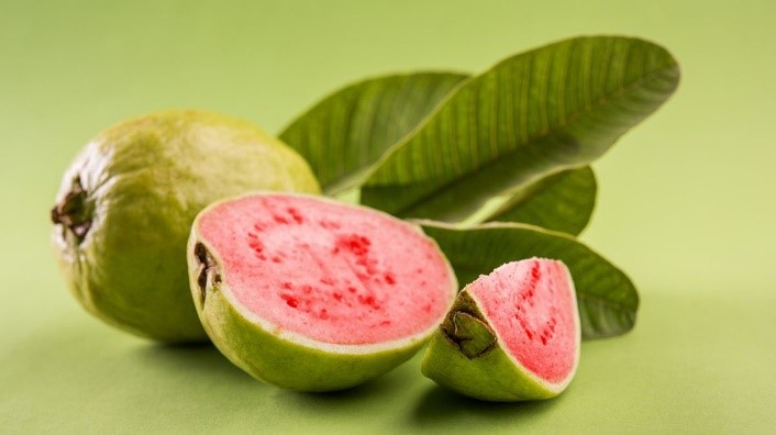 JAMBU BIJI JAMBU BIJI