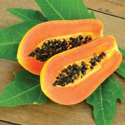 PAPAYA